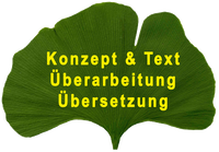 Konzept&Text